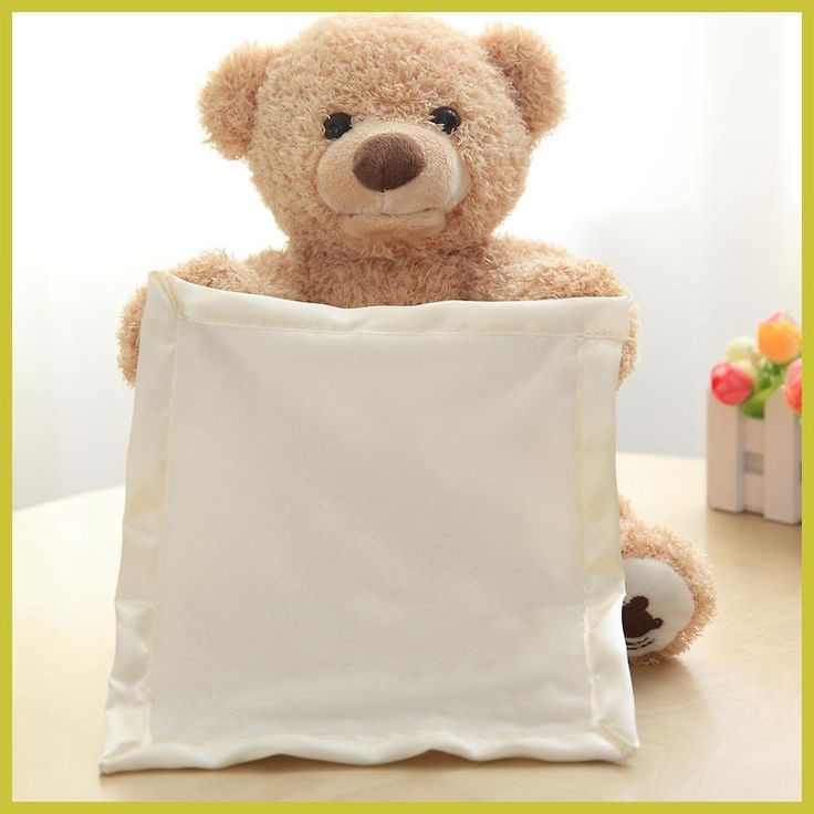 Peek-a-boo Bear Talking Chargeable Shy Face Teddy